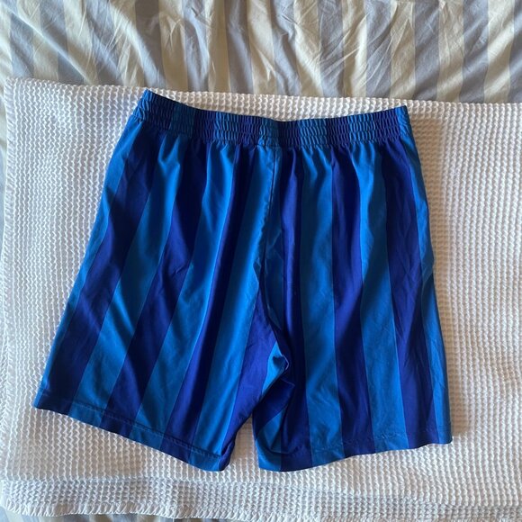 Adidas Blue Striped Athletic Shorts, Size Medium - Picture 2 of 3